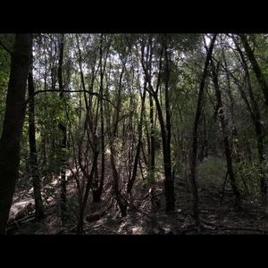 Meet your Posher, Jakob